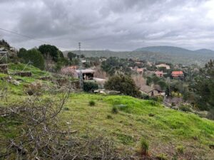 IMG-20250306-WA0147