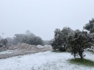 IMG_7509